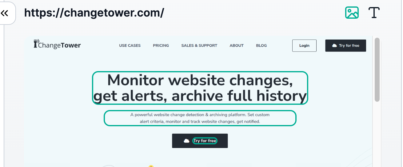 ChangeTower's product preview shows selected page regions with outlines beneath its URL and preview controls.